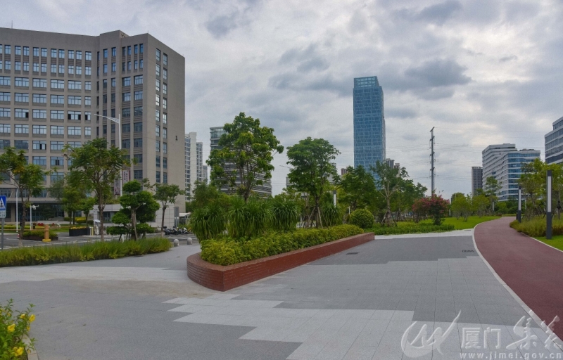 集美新城大学城带状公园对外开放，公园内有根据不同季节种植常绿开花乔木，确保四季有花有景。（林志杰摄影） (9 - 24).jpg
