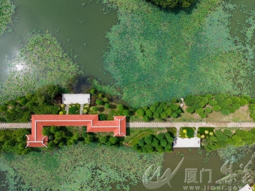 红亭映绿波（林志杰摄影）-36.jpg