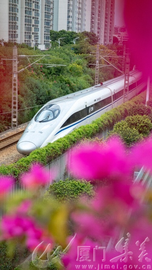 花潮伴轨 银龙逐韵  林旭东+杏前路+18059220360.jpg