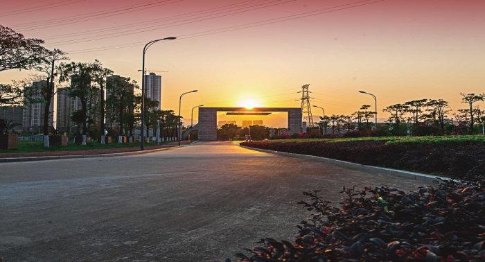 福州大学厦门工艺美术学院.png