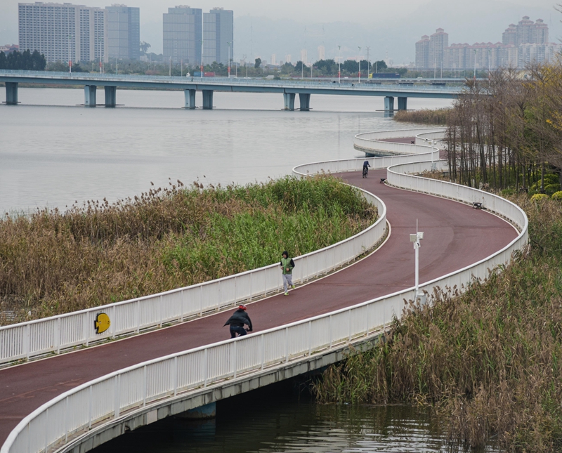 2020.3.4-市民在環杏林灣健康步道運動（林志杰攝影）-1261.jpg