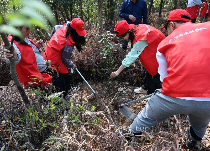 两岸青年携手同植”友谊树“（吴觅亮摄）.JPG
