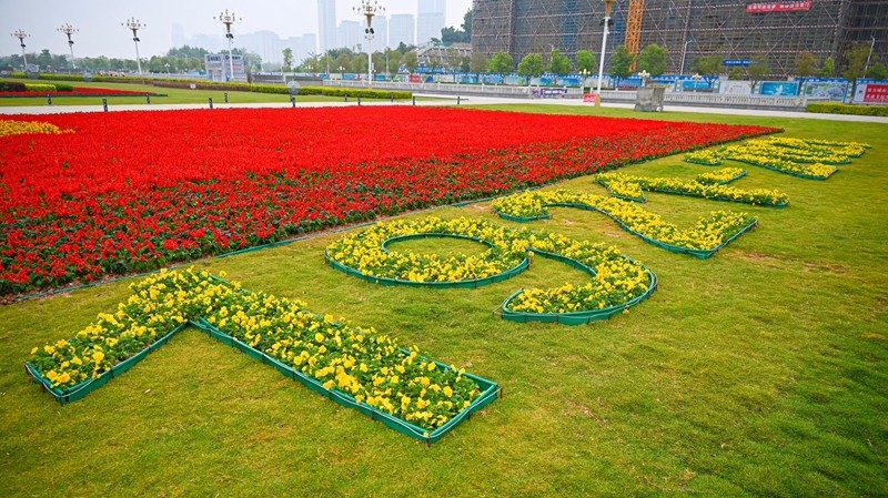 4萬多株花草書寫對建黨100周年的深情與祝福。圖為，集美新城市民廣場由4萬多株花草組成的黨旗（林志杰攝影）-49.jpg