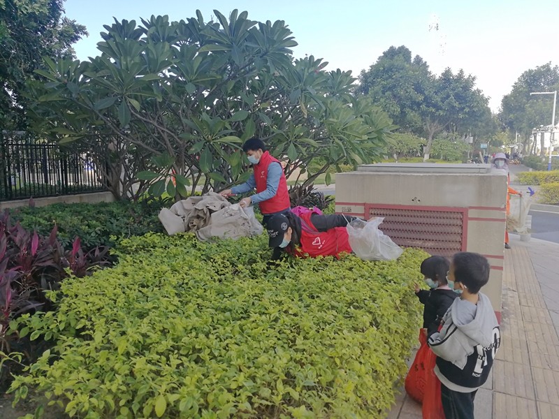 志愿者清理绿化带内垃圾.jpg