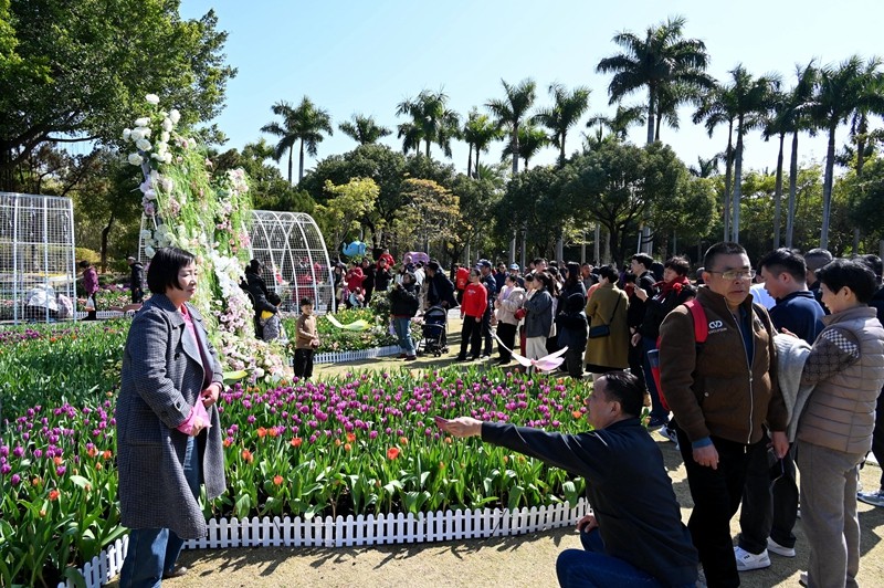 市民游客紛紛拍照留念（吳覓亮攝）(1).jpg