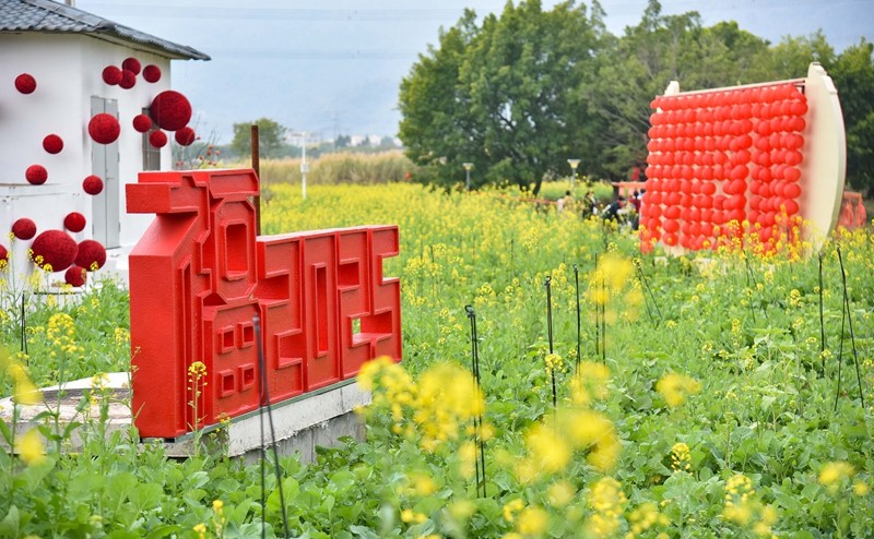 灌口油菜花開（林志杰攝影）.jpg