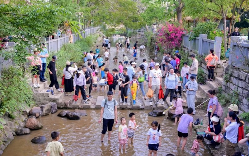市民游客在古樾農(nóng)莊體驗捉魚（主辦方供圖）.jpg