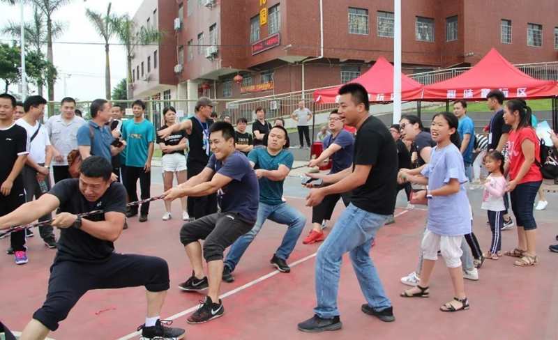 职工风采节拔河比赛(区总工会供图）.jpg