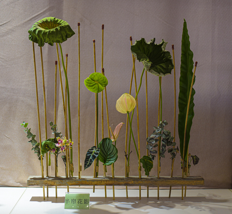 厦门园博苑第十一届荷花展开展，展期一个月。图为：以荷为主题创作的现代插花艺术（林志杰摄影） (5 - 5).jpg