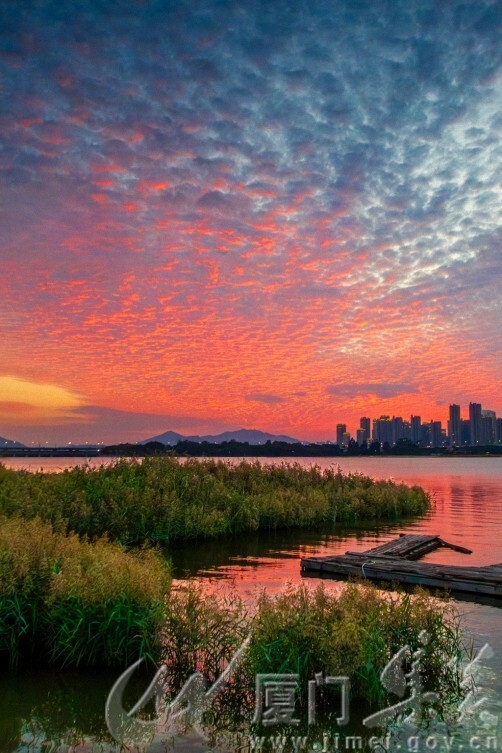 最美火烧云   蒋腾飞  集美水上运动中心 13696924295 拍.jpg