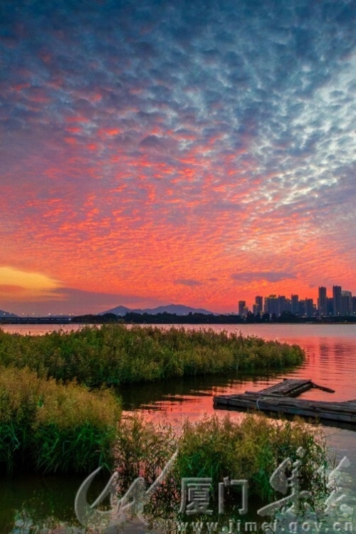 最美火烧云   蒋腾飞  集美水上运动中心 13696924295 拍.jpg