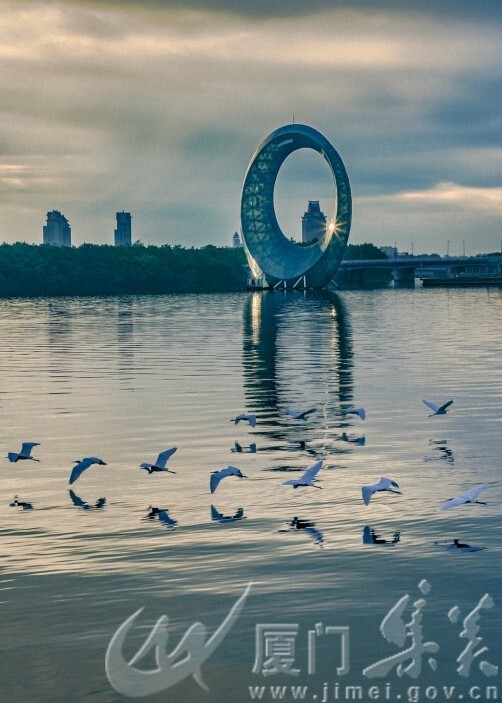 鹭舞月光环 集美晨韵悠+王海燕+集美市民广场18965826042.jpg