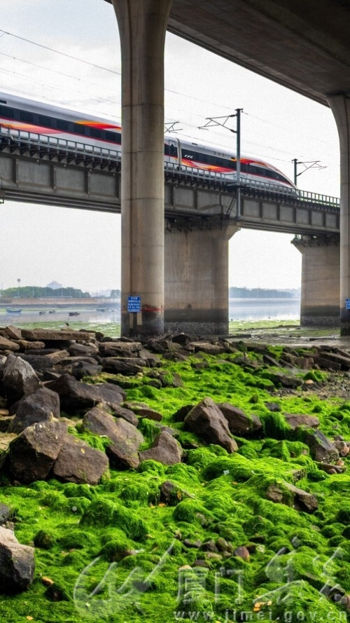《开往春天的动车》陈瑞坤 集美杏林18030020890.jpg