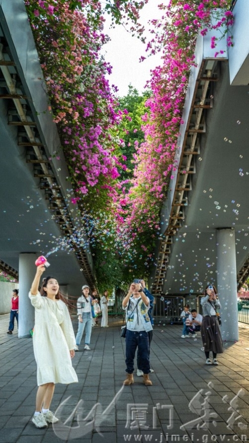 《空中花廊》陈瑞坤 杏林高浦18030020890.jpg