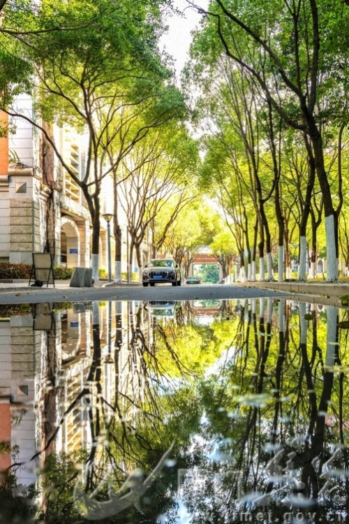 集美大学校园镜像 何文鸿   集美大学+18150166783.jpg