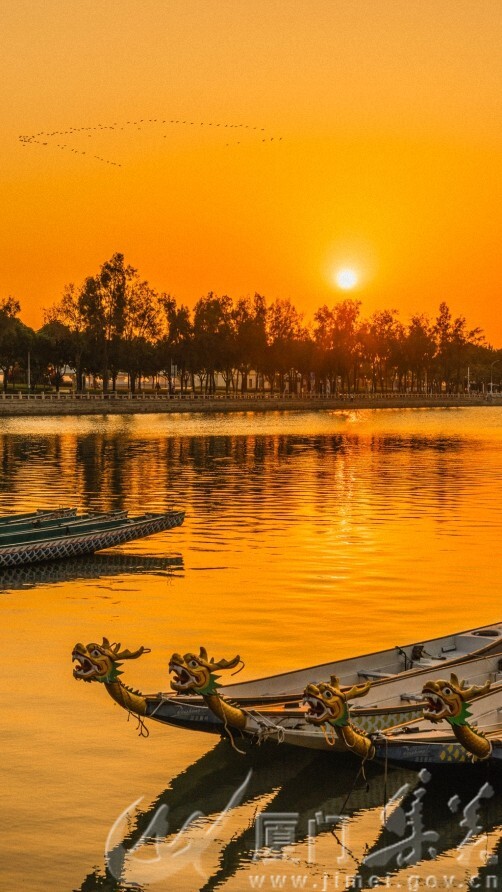 金霞拥龙舟 王莹 龙舟池+13696929530.jpg