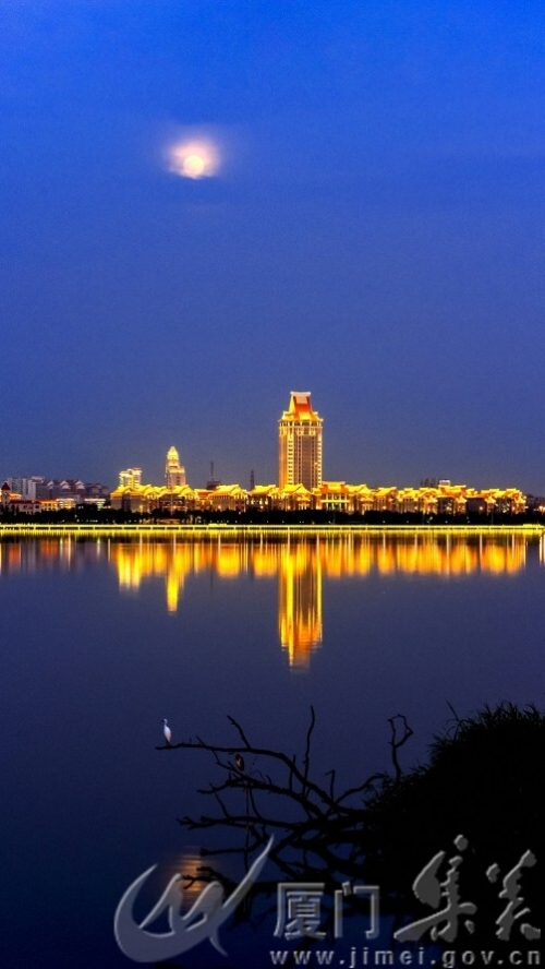 学村的月夜鹭影 + 何文鸿 +园博园+18150166783.jpg