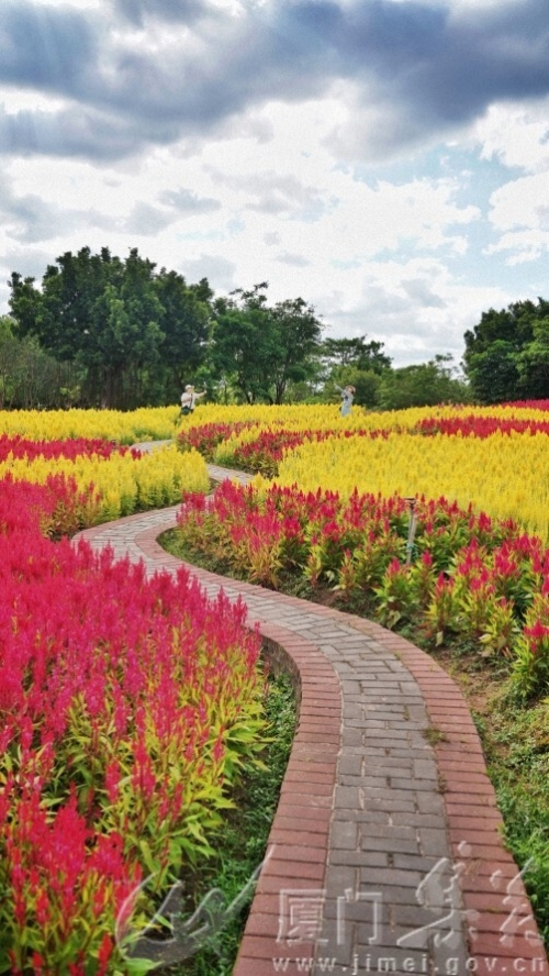 《曲径花影红》+ 庄莉红+园博苑+18859288178.jpg