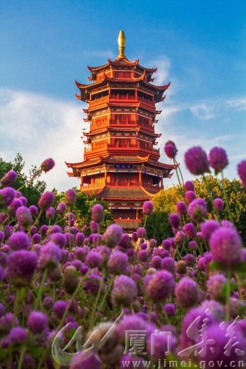 千日红点缀杏林阁  蒋腾飞 园博苑13696924295.jpg