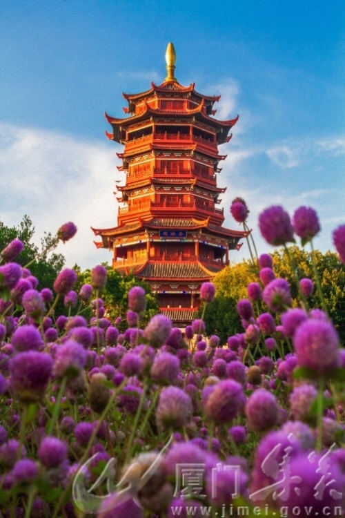 千日红点缀杏林阁  蒋腾飞 园博苑13696924295.jpg