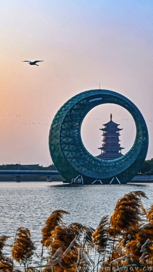 月光环晨景    叶枫    13646911400    市民广场.jpg