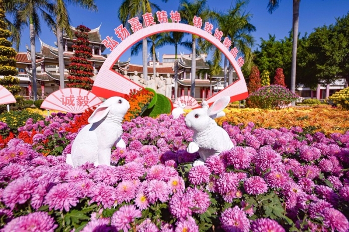 2022.11.8：“菊香满鳌园 礼赞新时代”集美鳌园菊花展（林志杰摄影） (32 - 52).jpg