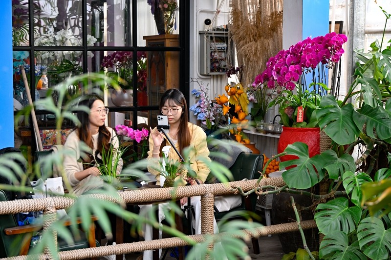天水鹭花卉世界商家网络直播。（林志杰摄影） (18 - 39).jpg