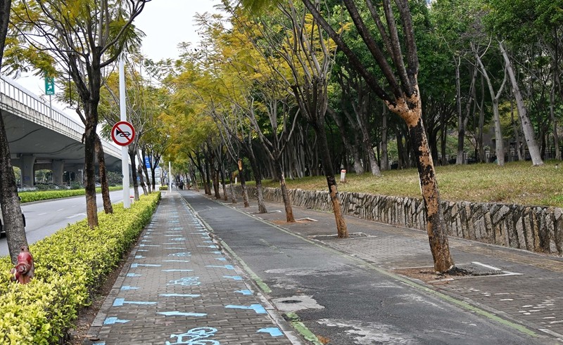 杏前路（沈海高速—海翔大道）路段慢行系统改造完工（林志杰摄影） (10 - 13).jpg