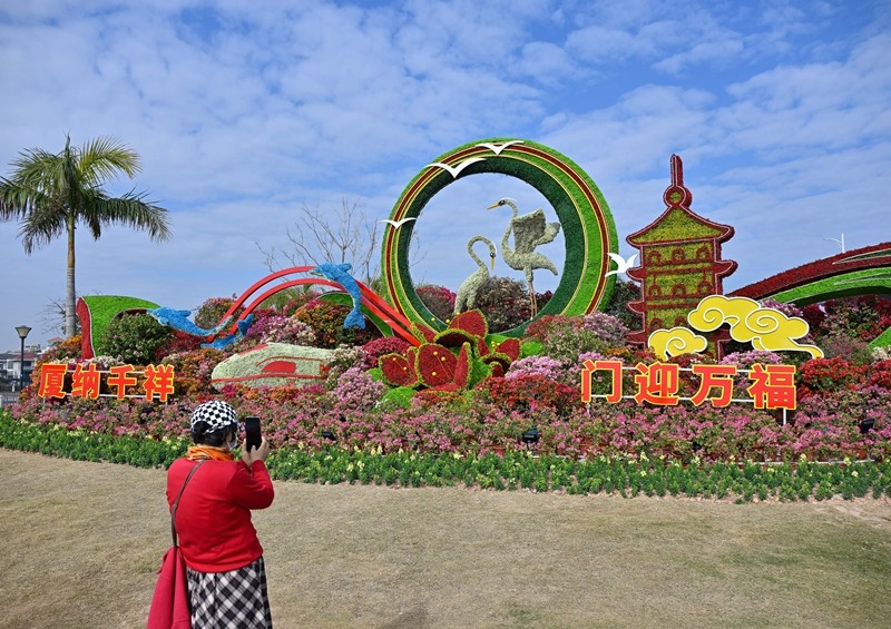 张灯结彩迎马年  集美街头年味浓。图为，乐海公园主题绿化造景吸引市民拍照。（林志杰摄影）-10.jpg